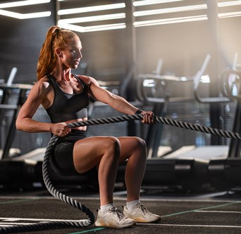 Everlast Gyms battle rope